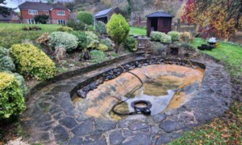 Pond Cleaning Services