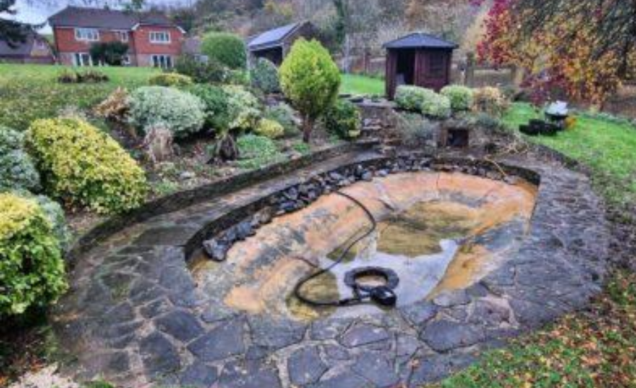 Pond Cleaning Services